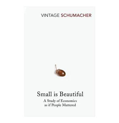 imagSmall Is Beautiful Paperback Schumacher E F