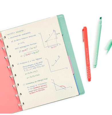 imagOOLY Pastel Mints Scented Flexitip Highlighters - Set of 10