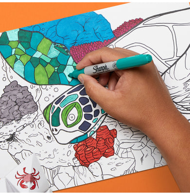 imagSharpie Fine 12 Colour Set - 30072