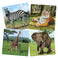 imag7Frank Masha The Bear 4 In 1 Puzzle