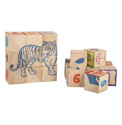 imagGiggles - Info Cubes, Educational Learning blocks - Crossword.in 