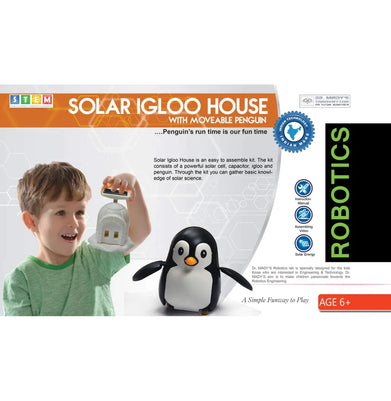 imagSOLAR IGLOO HOUSE WITH PENGUIN