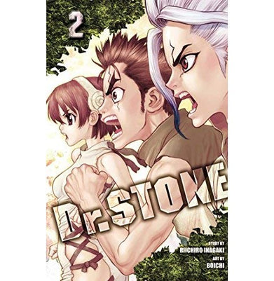 imagDR STONE VOL. 2 Paperback RIICHIRO INAGAKI
