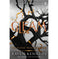 imag1Gleam: The Sunday Times bestseller and Tik Tok sensation Paperback Kennedy Raven