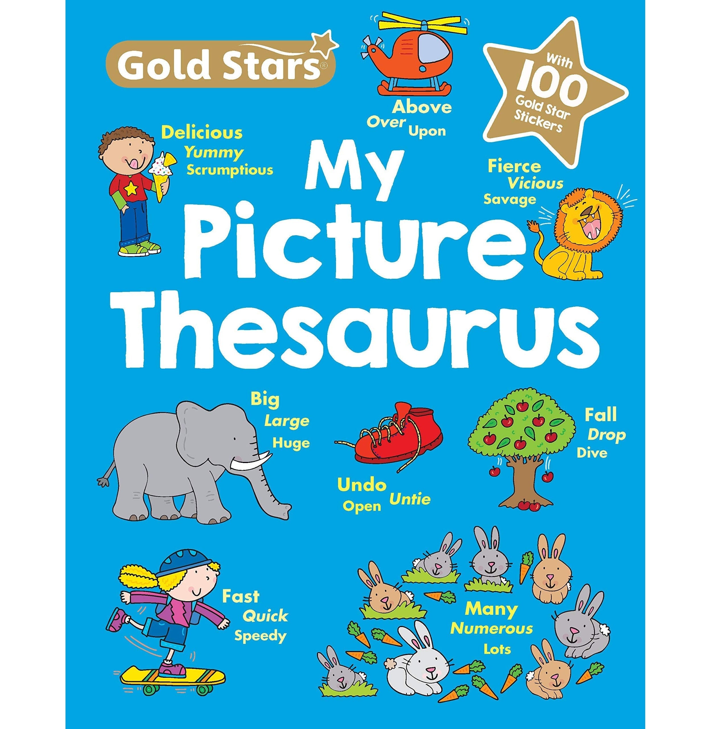 Gold Stars My First Picture Thesaurus