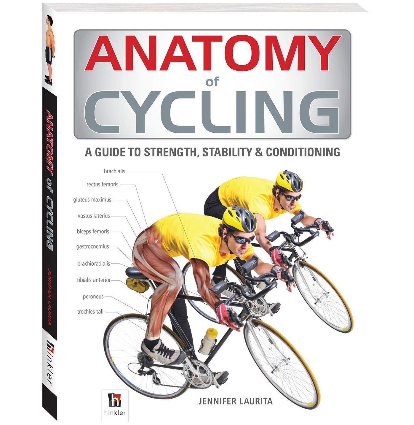 Anatomy Of Cycling