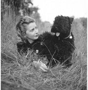 image //www.c...Goodnight Moon Board book Wise Brown Margaret and Hurd Clement