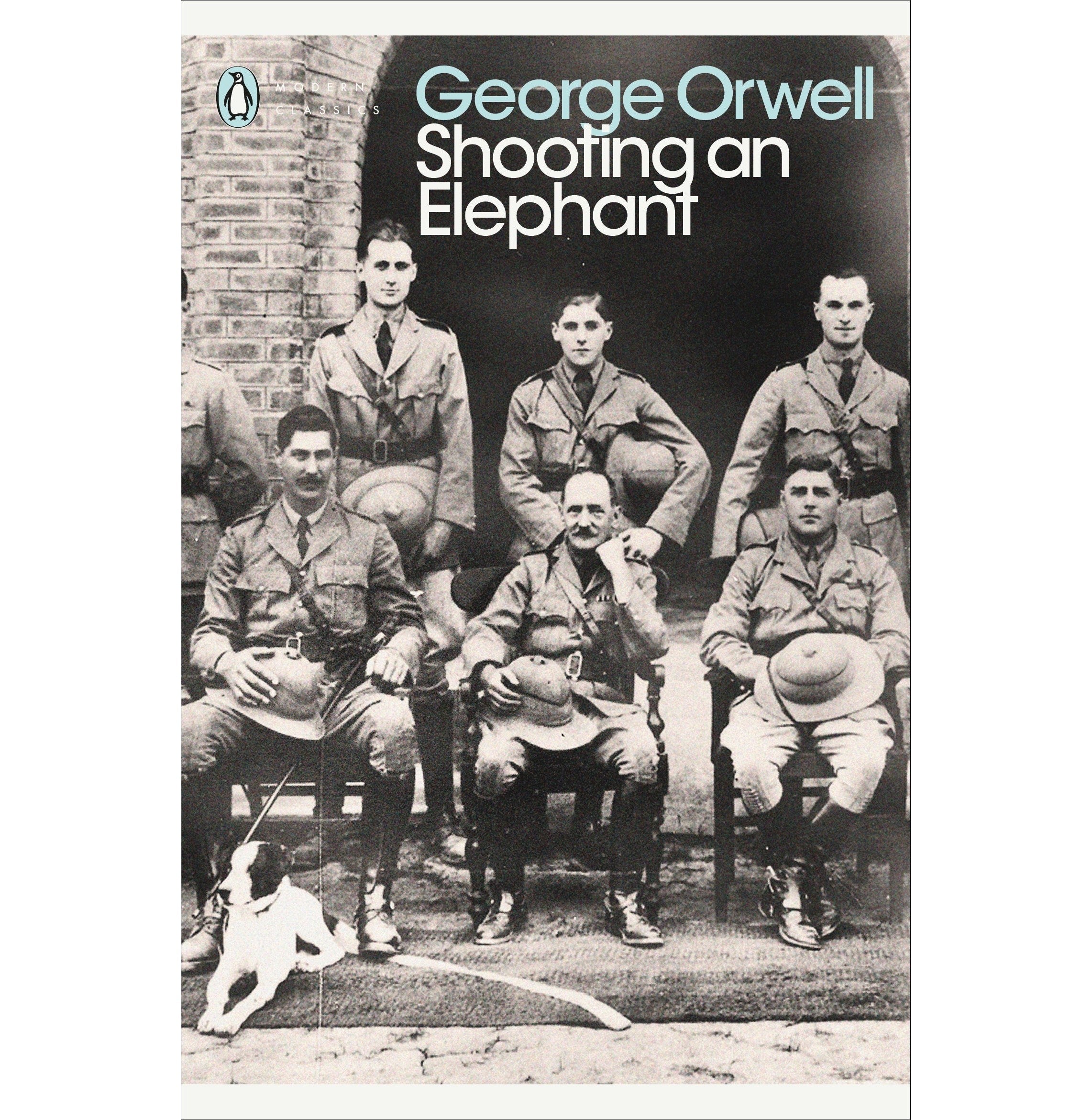 Shooting An Elephant