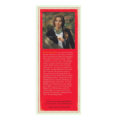 imagThe Forty Rules of Love HB SHAFAK ELIF